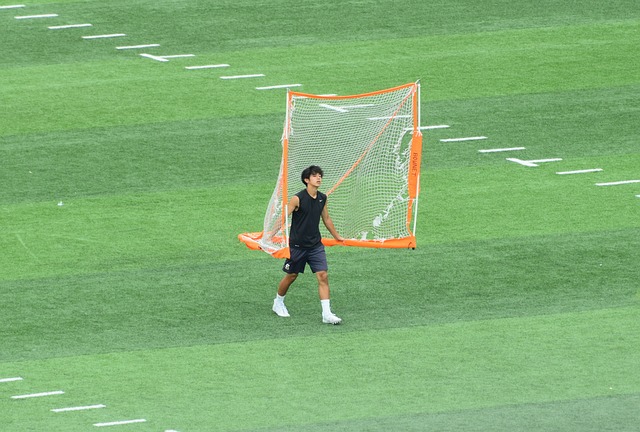观赏性