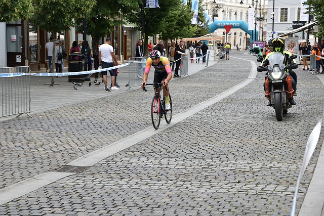 草地之王 草地之王