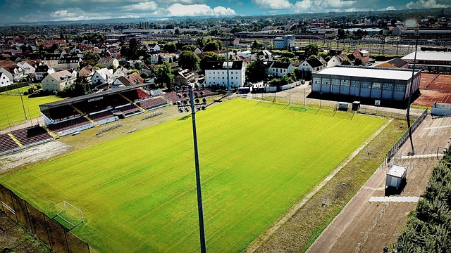 到的剧情反 到的剧情反